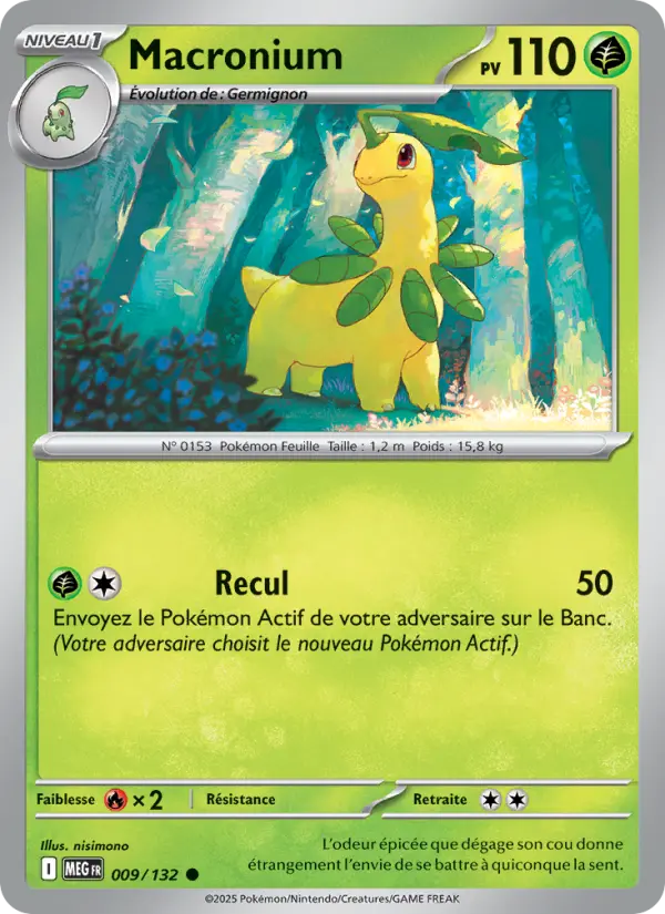 Macronium – carte Pokémon TCG Commune n°009