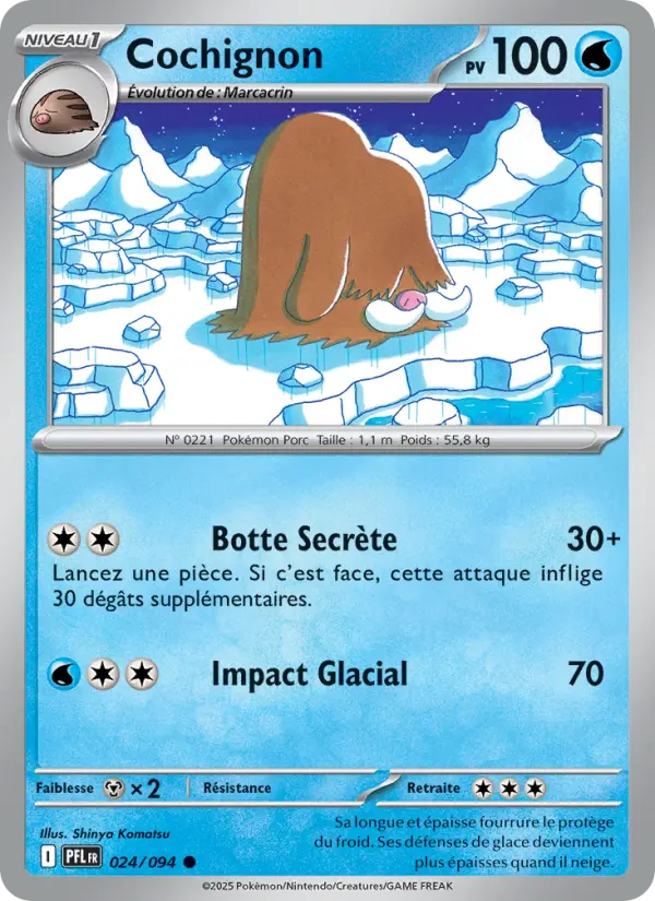Cochignon – carte Pokémon TCG Commune n°024