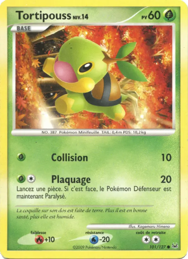 Tortipouss – carte Pokémon TCG Commune n°101