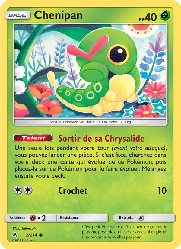 Chenipan – carte Pokémon TCG Commune n°2