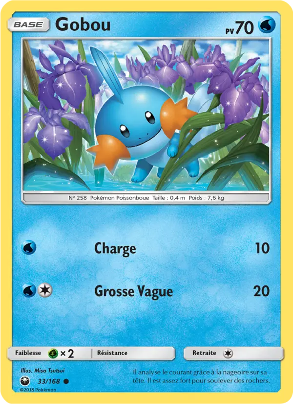 Gobou – carte Pokémon TCG Commune n°33