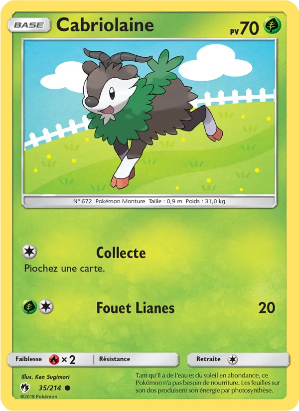 Cabriolaine – carte Pokémon TCG Commune n°35
