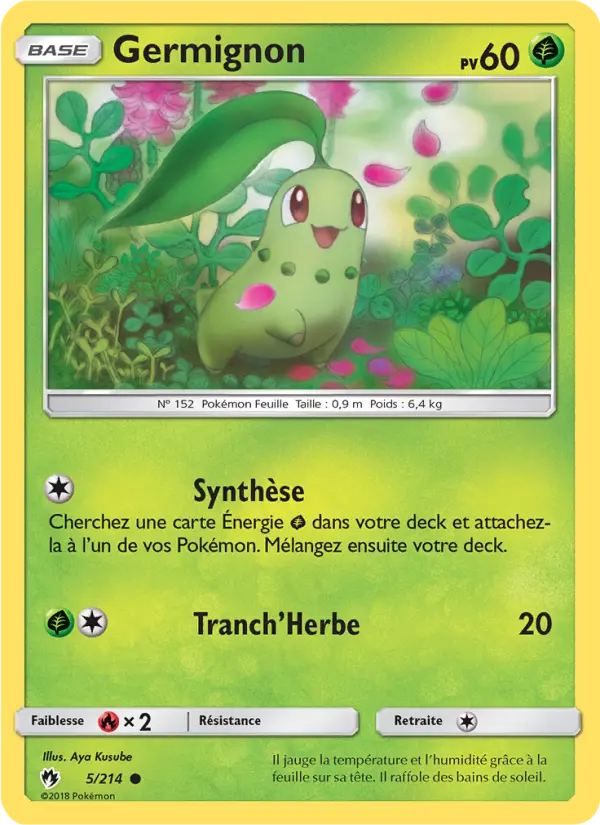 Germignon – carte Pokémon TCG Commune n°5