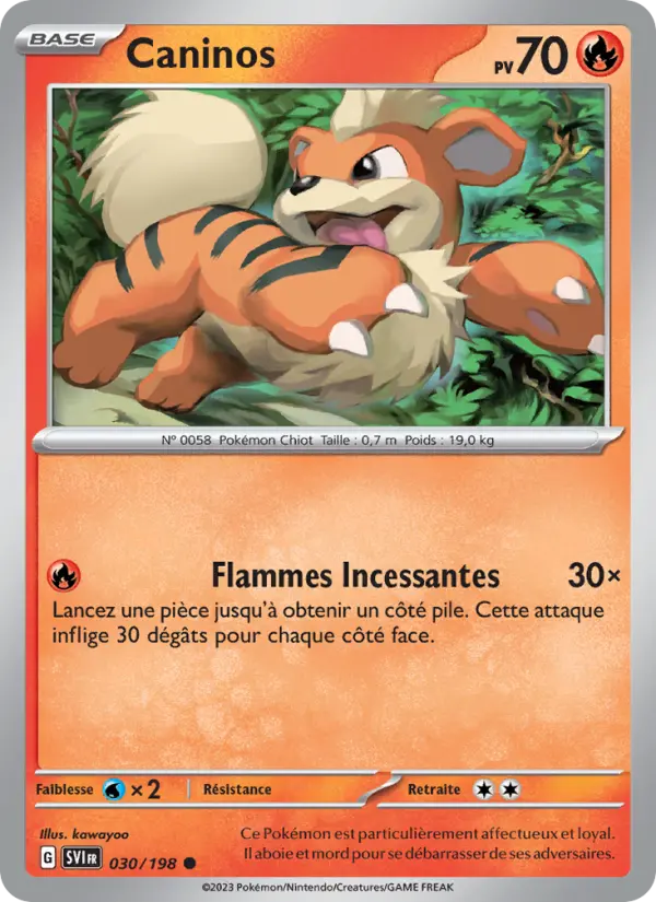 Caninos – carte Pokémon TCG Commune n°030