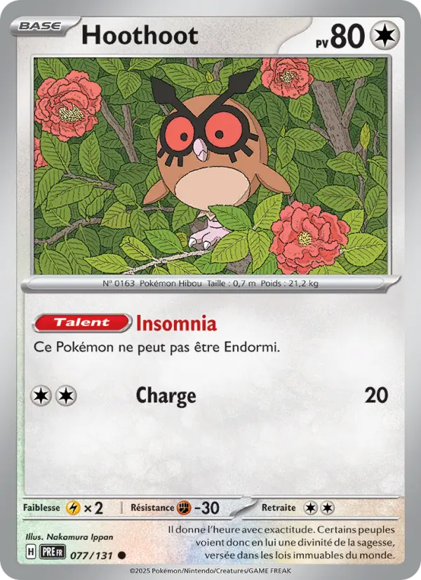 Hoothoot – carte Pokémon TCG Commune n°077