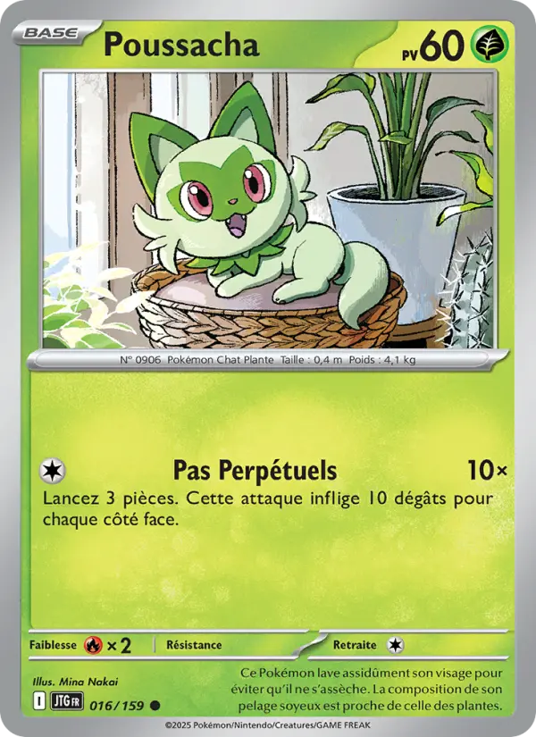 Poussacha – carte Pokémon TCG Commune n°016