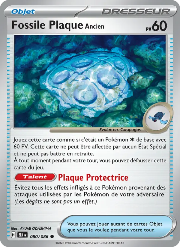 Fossile Plaque Ancien – carte Pokémon TCG Commune n°080