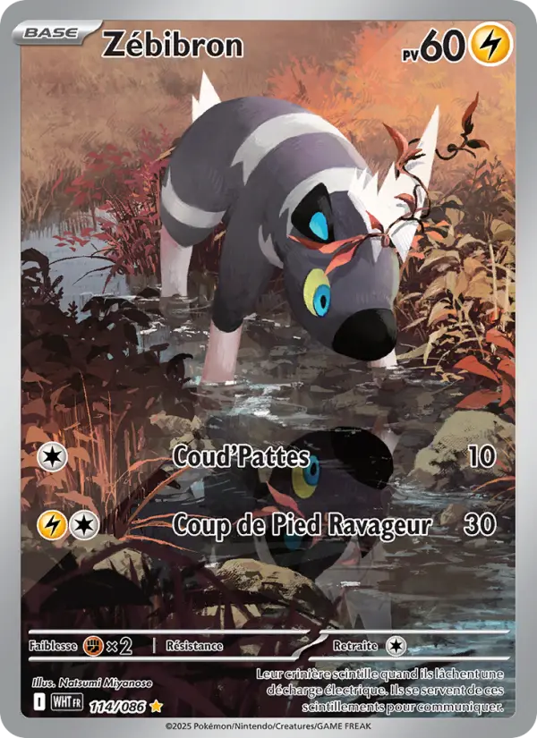 Zébibron – carte Pokémon TCG Illustration rare n°114